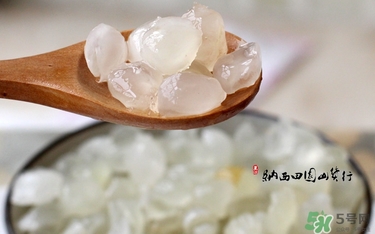 皂角米是什么東西?皂角米孕婦可以吃嗎 皂角米是什么東西?皂角米孕婦可以吃嗎