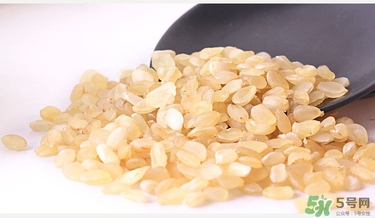 皂角米是什么東西?皂角米孕婦可以吃嗎 皂角米是什么東西?皂角米孕婦可以吃嗎