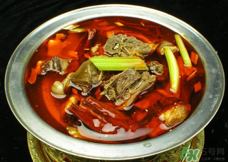 狗肉不能和什么一起吃？狗肉和什么相克？