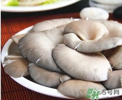 平菇的營(yíng)養(yǎng)價(jià)值 平菇的功效與作用 平菇的營(yíng)養(yǎng)價(jià)值 平菇的功效與作用