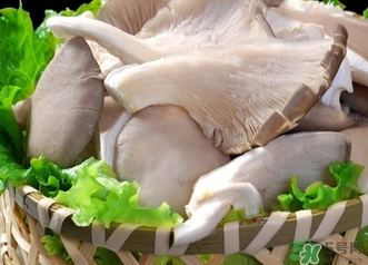 平菇的營(yíng)養(yǎng)價(jià)值 平菇的功效與作用 平菇的營(yíng)養(yǎng)價(jià)值 平菇的功效與作用