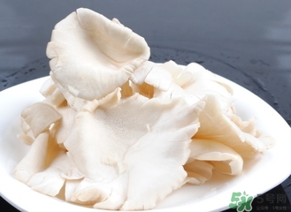 平菇的營(yíng)養(yǎng)價(jià)值 平菇的功效與作用 平菇的營(yíng)養(yǎng)價(jià)值 平菇的功效與作用