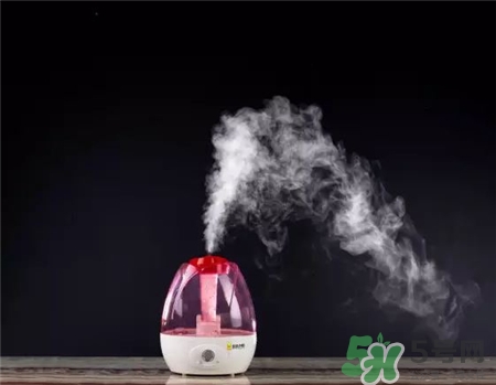 蒸臉器可以當加濕器用嗎?蒸臉器和加濕器有何區(qū)別?