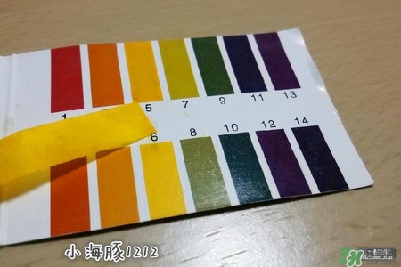 賽貝格哪里買？賽貝格哪里有專柜？