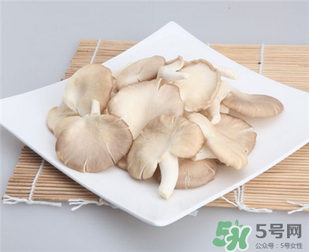 鳳尾菇的營(yíng)養(yǎng)價(jià)值 鳳尾菇的功效與作用 鳳尾菇的營(yíng)養(yǎng)價(jià)值 鳳尾菇的功效與作用