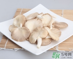 鳳尾菇的做法 吃鳳尾菇有什么好處 鳳尾菇的做法 吃鳳尾菇有什么好處