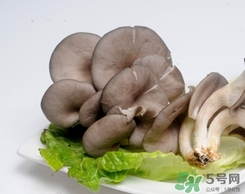 鳳尾菇的做法 吃鳳尾菇有什么好處 鳳尾菇的做法 吃鳳尾菇有什么好處