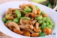 滑子菇的營養(yǎng)價(jià)值 滑子菇的功效與作用