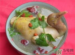 一歲能吃鴿子肉嗎?寶寶吃鴿子肉好嗎 一歲能吃鴿子肉嗎?寶寶吃鴿子肉好嗎