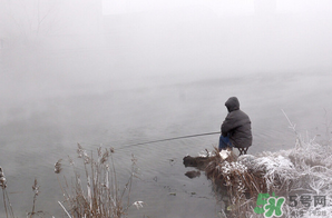 冬天釣魚用什么餌料？冬天釣魚用什么小藥？