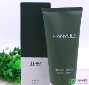 韓律艾草洗面奶多少錢(qián)？韓律艾草洗面奶專(zhuān)柜價(jià)格