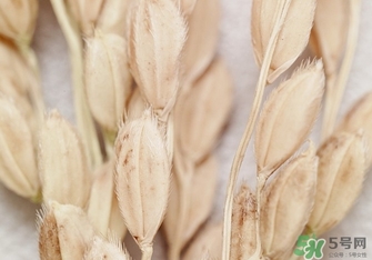 韓律適合什么膚質(zhì)？韓律適合敏感肌膚嗎？