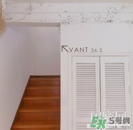 vant氣墊粉底霜怎么樣？vant36.5粉霜粉膏好用嗎？