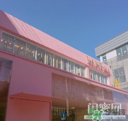 vant氣墊粉底霜怎么樣？vant36.5粉霜粉膏好用嗎？