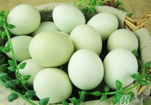綠殼雞蛋多少錢(qián)一個(gè)？綠殼雞蛋多少錢(qián)一斤？