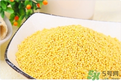 黃米是什么米?黃米的功效與作用 黃米是什么米?黃米的功效與作用