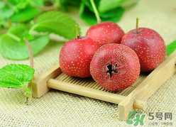 新鮮山楂什么時候上市？新鮮山楂什么時候成熟？