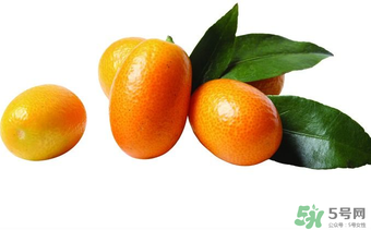 金桔可以帶皮吃嗎？金桔皮能吃嗎？