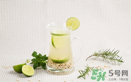 檸檬水可以用熱水泡嗎？檸檬水用涼水泡還是熱水泡？