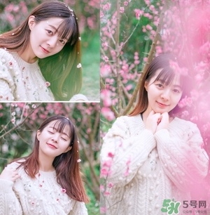 伊諾姿櫻花氣墊多少錢(qián)？伊諾姿櫻花氣墊價(jià)格