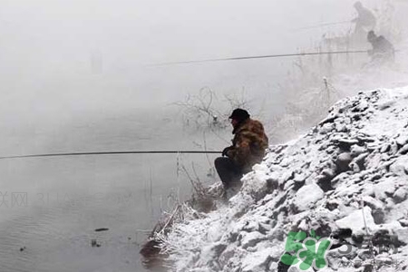 冬天能釣魚嗎？冬天適合釣魚嗎？