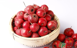 新鮮山楂可以放冰箱嗎？鮮山楂可以冷凍保存嗎？