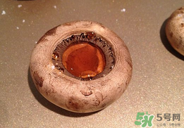 口菇變黑還能吃嗎？口菇的營養(yǎng)價值