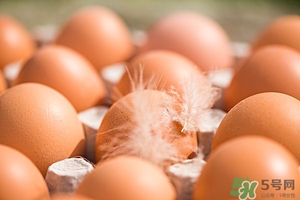痛風能吃毛蛋嗎?痛風吃毛蛋好嗎 痛風能吃毛蛋嗎?痛風吃毛蛋好嗎