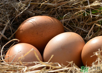 雞蛋可以帶上動車嗎？雞蛋可以帶上高鐵嗎？
