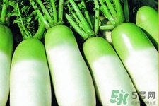 冬天御寒吃蘿卜有用嗎？御寒養(yǎng)生不妨多吃蘿卜