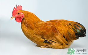 活雞能帶上火車嗎？坐火車上可以帶活雞嗎？