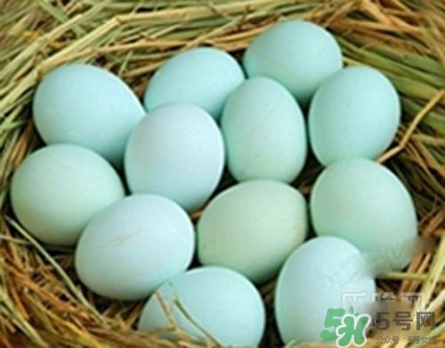 綠皮雞蛋是怎么回事？綠皮雞蛋的營養(yǎng)價值