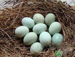 綠皮雞蛋是怎么回事？綠皮雞蛋的營養(yǎng)價值
