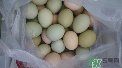 綠皮雞蛋是什么雞下的?綠皮雞蛋的營(yíng)養(yǎng)價(jià)值 綠皮雞蛋是什么雞下的?綠皮雞蛋的營(yíng)養(yǎng)價(jià)值