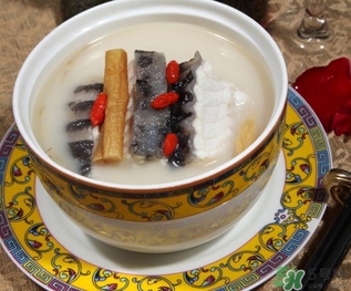 娃娃魚(yú)的營(yíng)養(yǎng)價(jià)值 娃娃魚(yú)的功效與作用