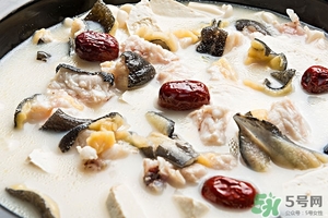 娃娃魚的營養(yǎng)價值 娃娃魚的功效與作用 娃娃魚的營養(yǎng)價值 娃娃魚的功效與作用