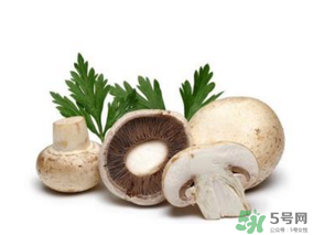 草菇怎么保存？新鮮草菇怎么保存？