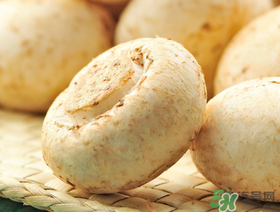 草菇怎么保存？新鮮草菇怎么保存？