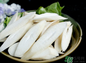 雞腿菇長白毛能吃嗎？雞腿菇怎么做好吃？