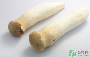 雞腿菇長白毛能吃嗎？雞腿菇怎么做好吃？