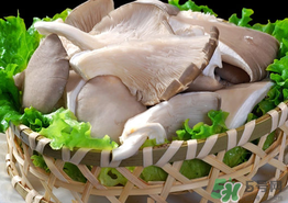 蘑菇可以放冰箱嗎？蘑菇放冰箱長毛了能吃嘛？