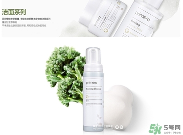 芙莉美娜洗面奶怎么樣？芙莉美娜洗面奶多少錢？