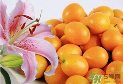 金桔可以止咳嗎?金桔止咳的方法介紹 金桔可以止咳嗎?金桔止咳的方法介紹