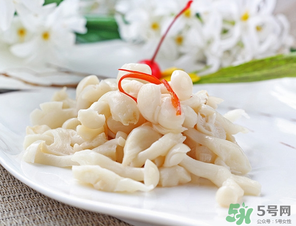 白玉菇孕婦能吃嗎？孕婦可以吃白玉菇嗎？