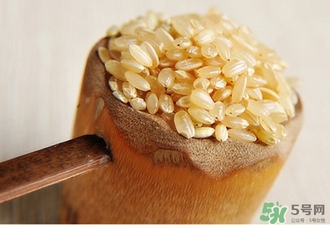 糙米的熱量 糙米的功效與作用