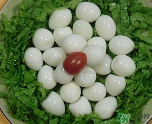 鵪鶉蛋一天吃幾個(gè)合適？鵪鶉蛋一天最多吃幾個(gè)？