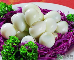 鵪鶉蛋一天吃幾個(gè)合適？鵪鶉蛋一天最多吃幾個(gè)？