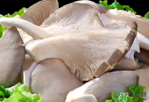 平菇怎么保存？平菇能放幾天？