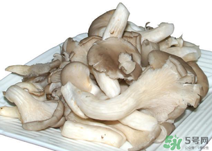 平菇怎么保存？平菇能放幾天？