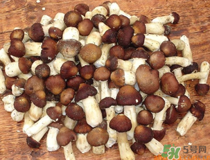 草菇可以放冰箱嗎？草菇放冰箱還能吃嗎？